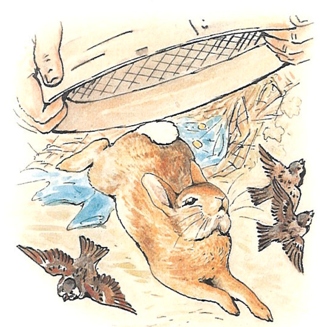THE TALE OF PETER RABBIT
