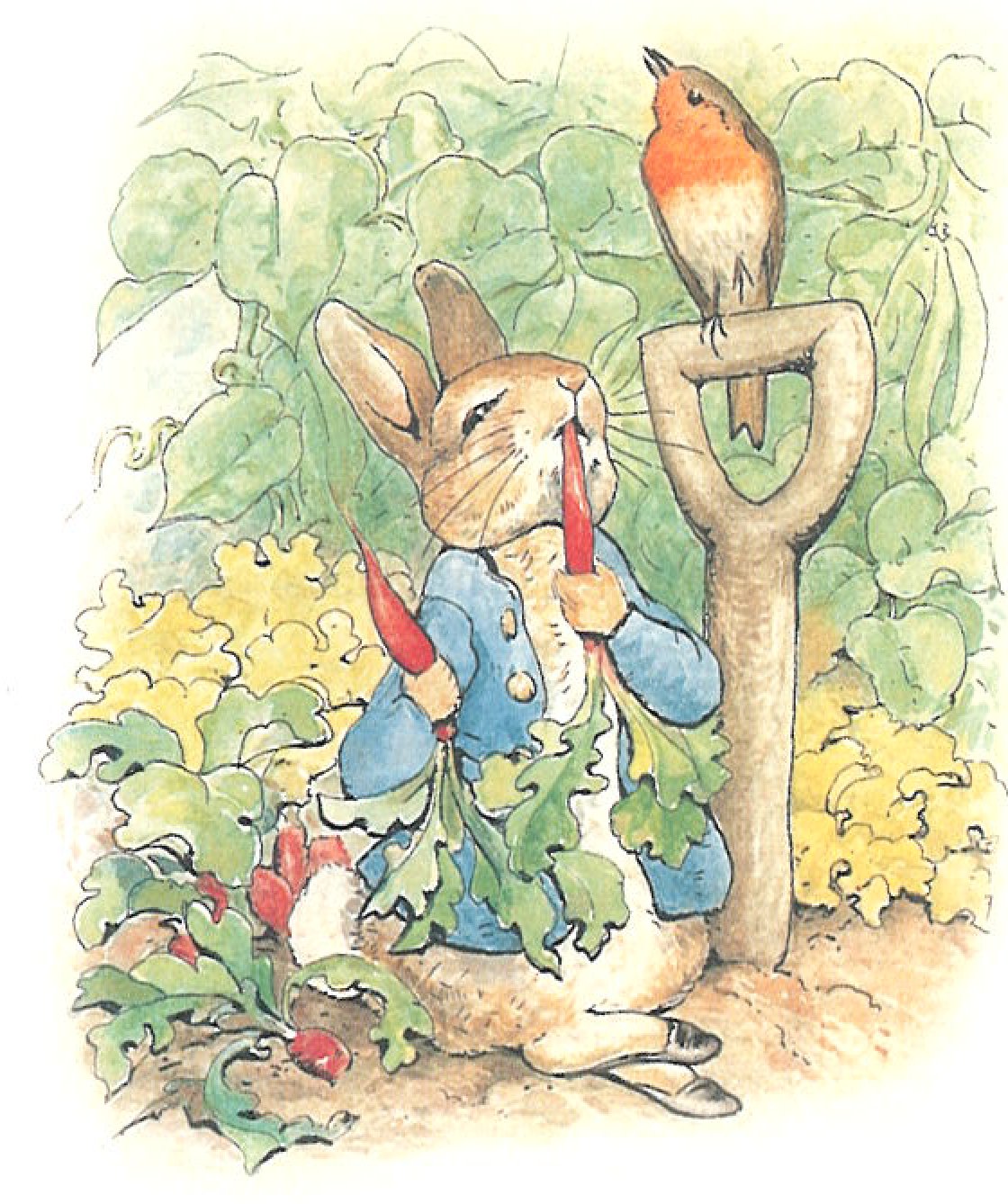 3-6 mesi ~ 62-68 cm ~ ~ Pile rosa Peter Rabbit All In One 