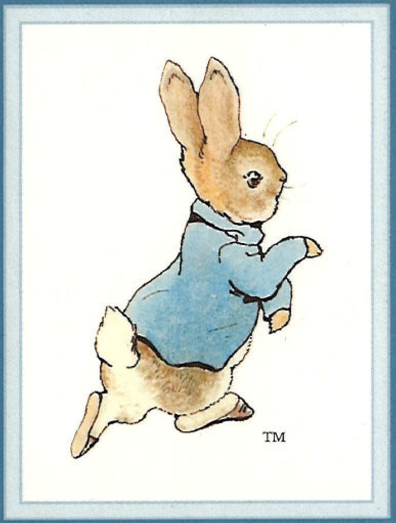 Beatrix Potter Peter Rabbit tiro coperta-Super-Soft & Snuggly Finish-Multi 